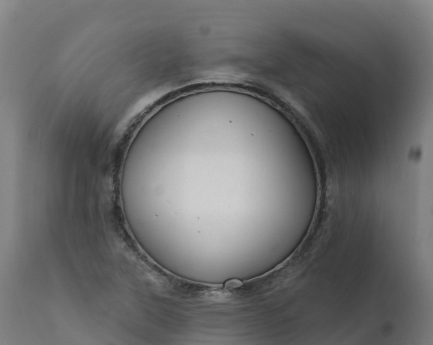 X0000112431315200908281852