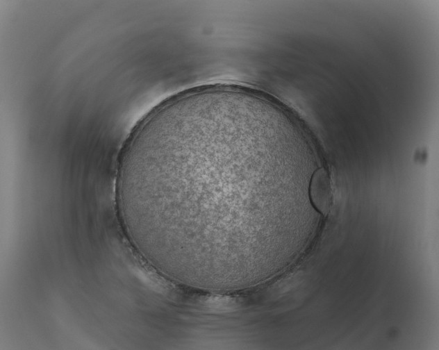 X0000112431316200908281852