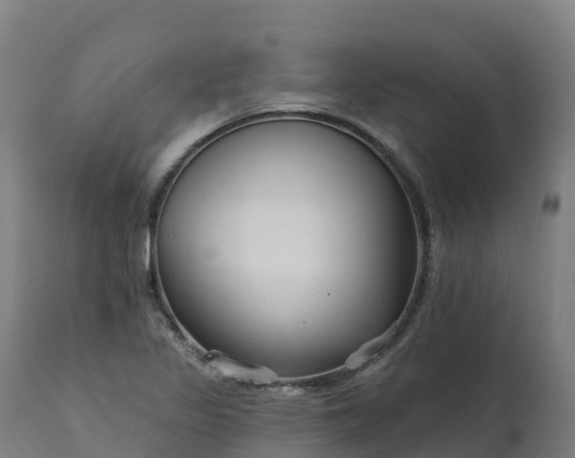 X0000112431317200908281852