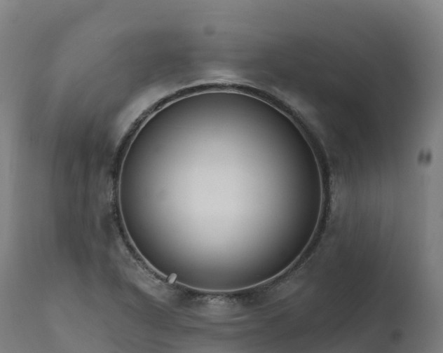 X0000112431318200908281852