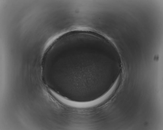 X0000112431319200908281852
