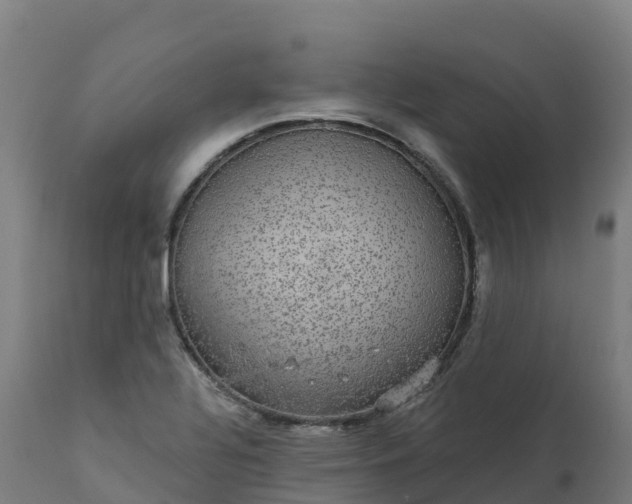 X0000112431320200908281852