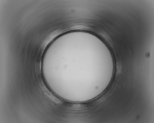 X0000112431322200908281852