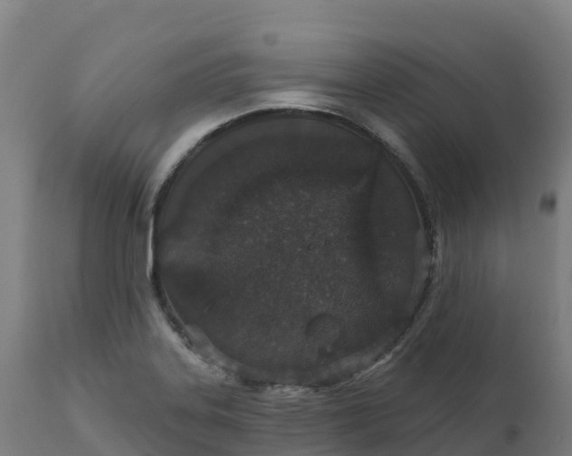 X0000112431323200908281852