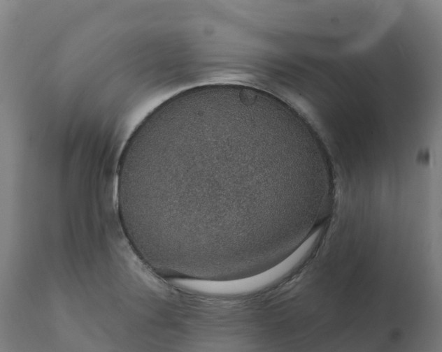 X0000112431324200908281852