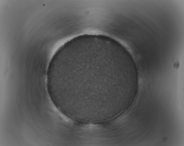 X0000112431327200908281853