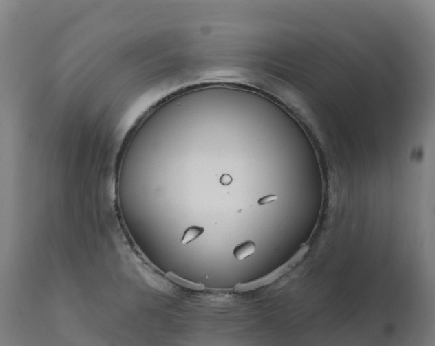X0000112431328200908281853