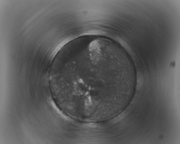 X0000112431329200908281853