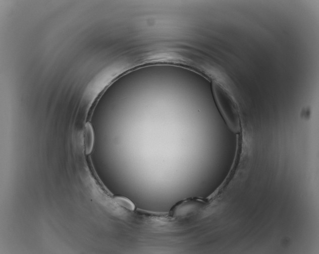 X0000112431330200908281853