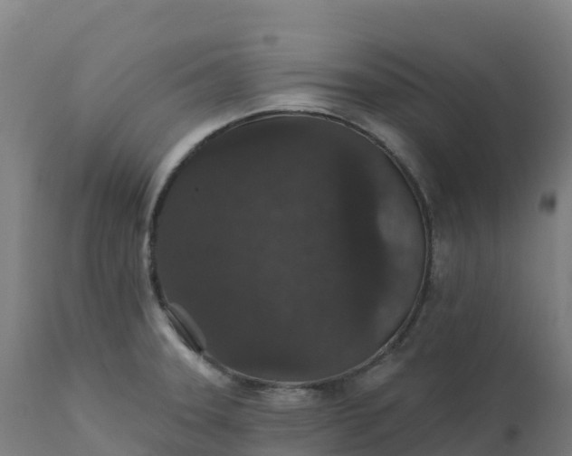 X0000112431331200908281853