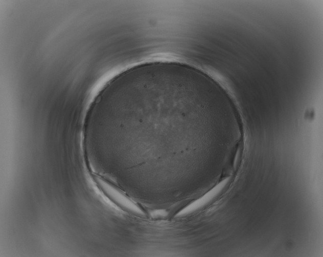 X0000112431334200908281853