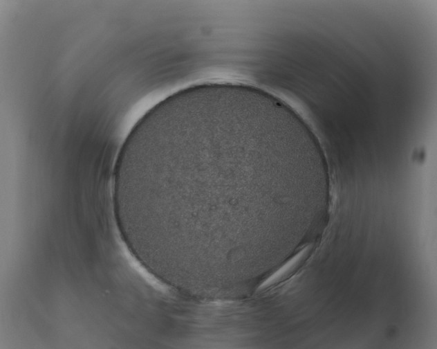 X0000112431335200908281853