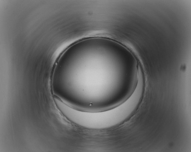 X0000112431336200908281853