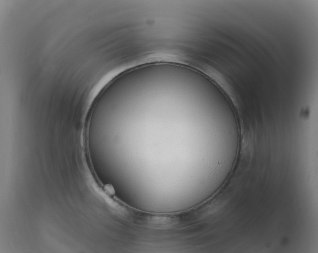 X0000112431339200908281853
