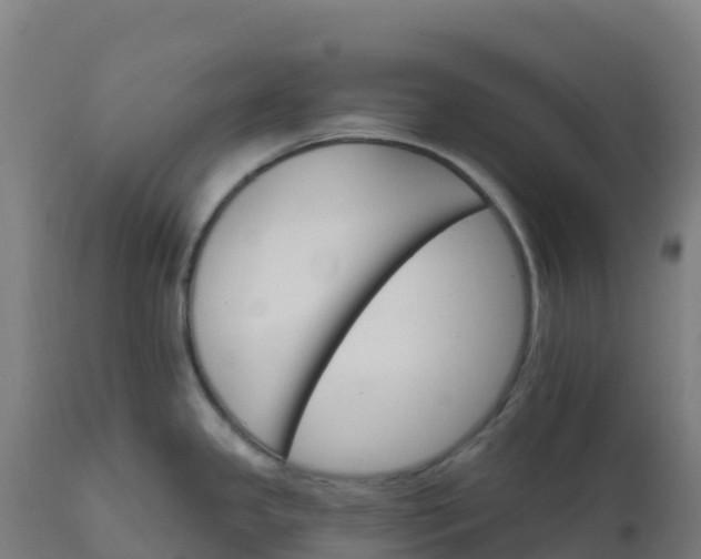 X0000112431341200908281853