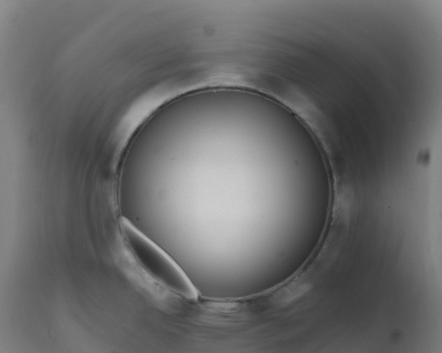 X0000112431342200908281853