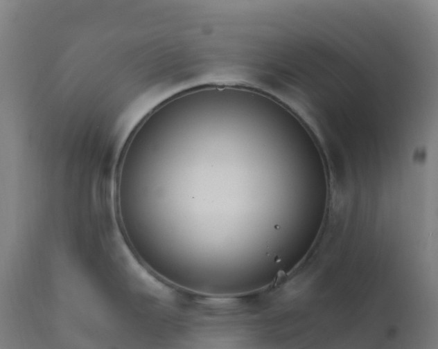 X0000112431343200908281853