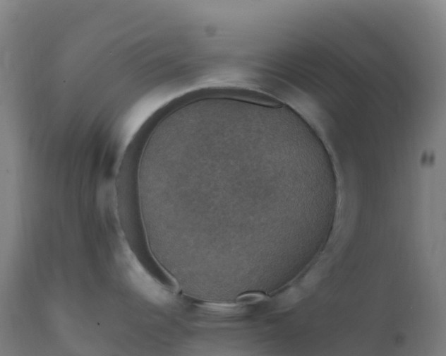 X0000112431344200908281853