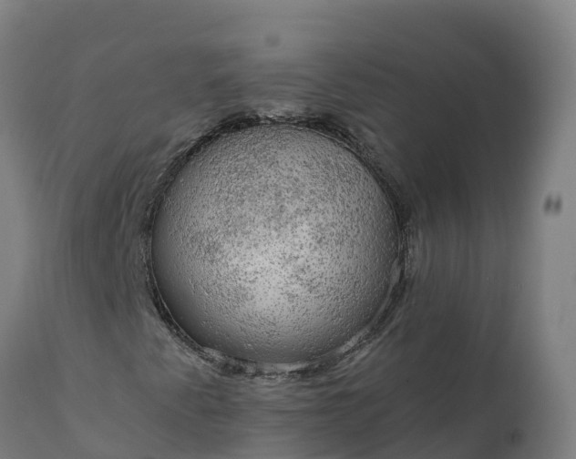 X0000112431345200908281852