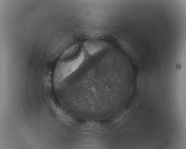 X0000112431346200908281852
