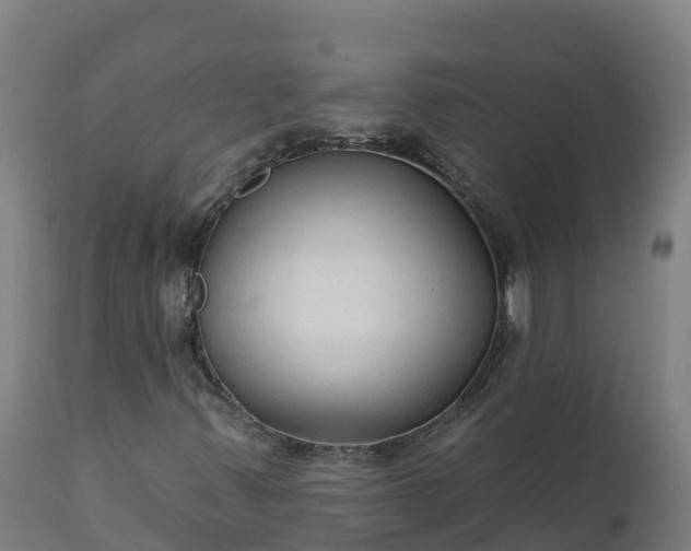 X0000112431347200908281852