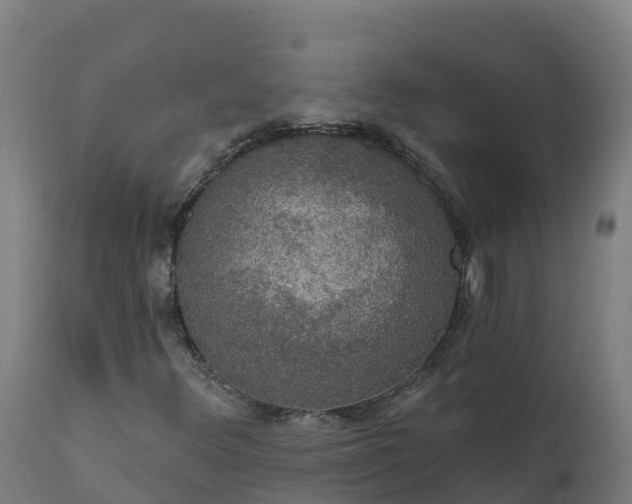 X0000112431348200908281852