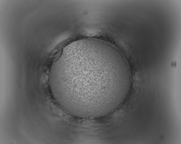 X0000112431349200908281852