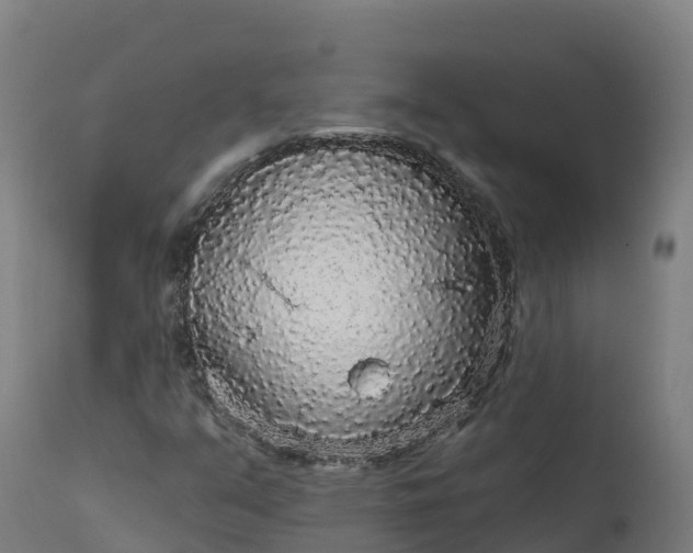 X0000112431351200908281852