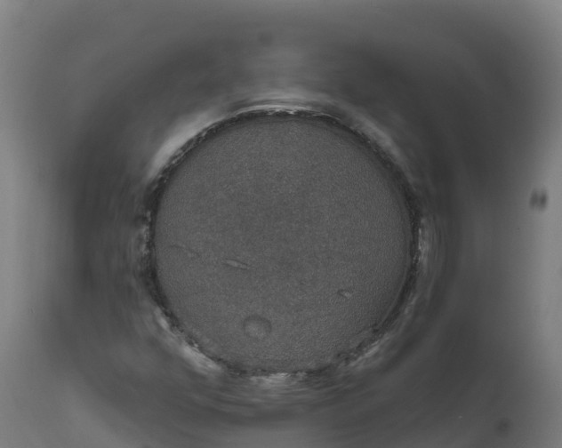 X0000112431352200908281852
