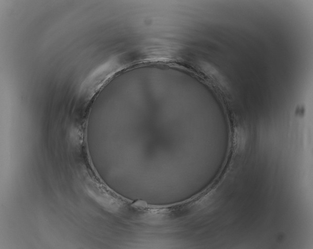 X0000112431353200908281852