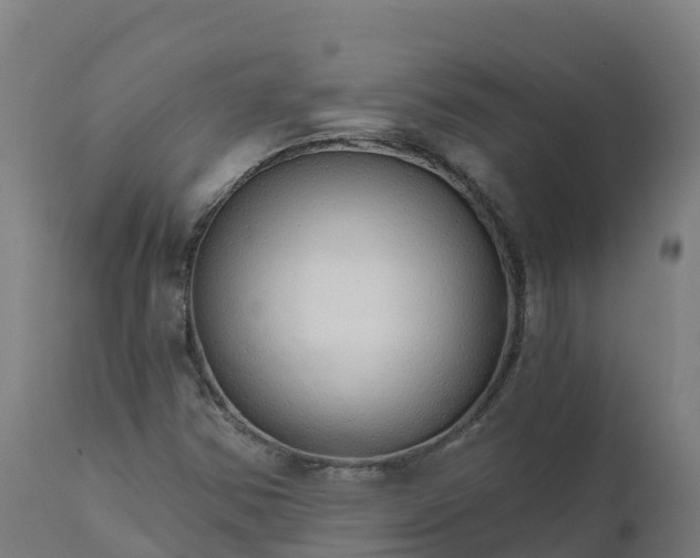 X0000112431354200908281852