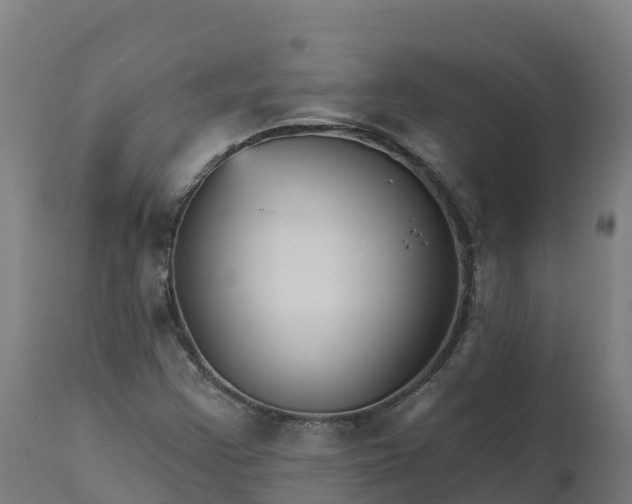 X0000112431355200908281852