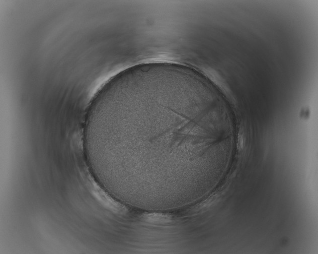 X0000112431356200908281852