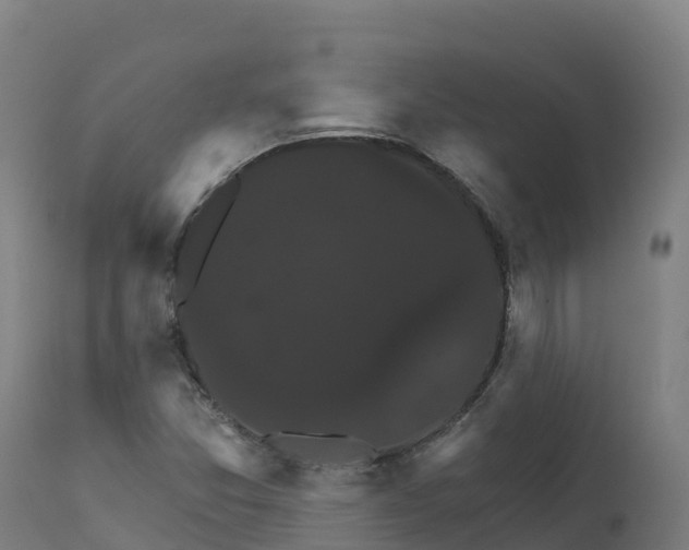 X0000112431357200908281852