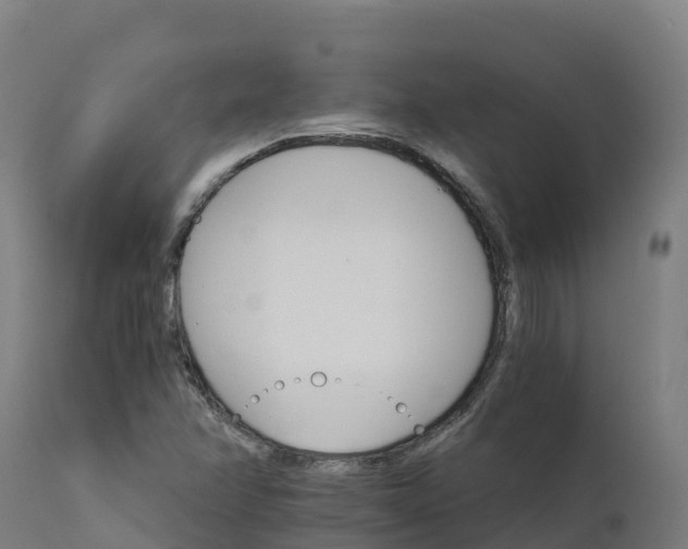 X0000112431358200908281852