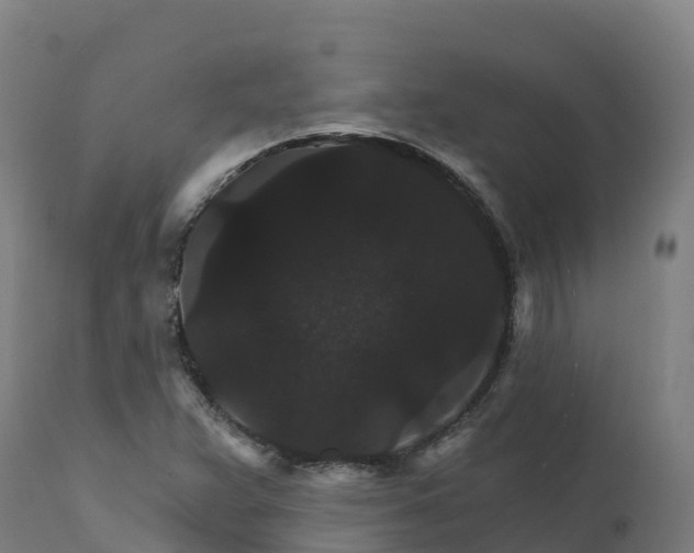 X0000112431359200908281852
