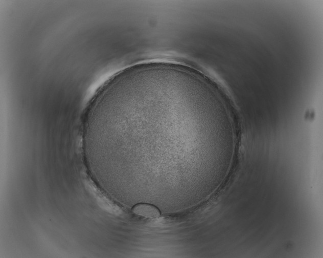 X0000112431360200908281852