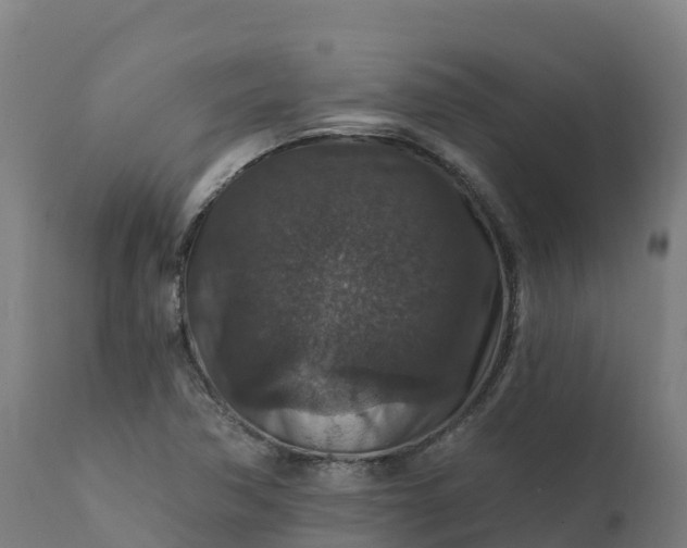 X0000112431362200908281852