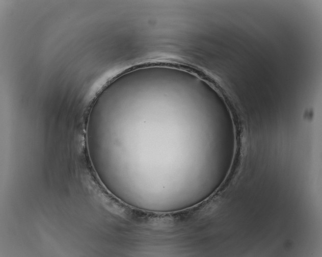X0000112431363200908281852