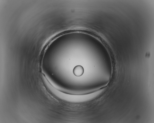 X0000112431364200908281852