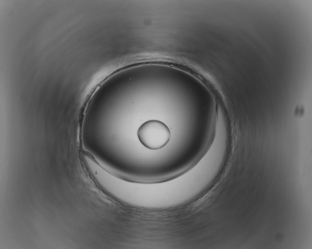 X0000112431365200908281852