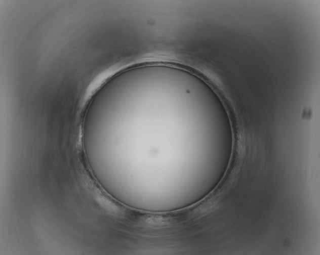 X0000112431366200908281852