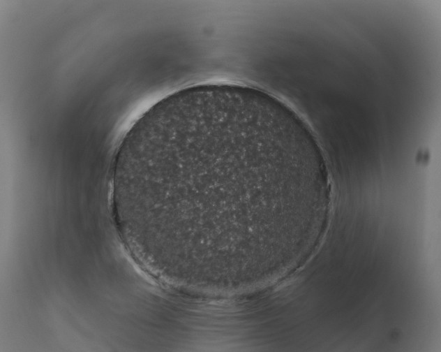 X0000112431367200908281852