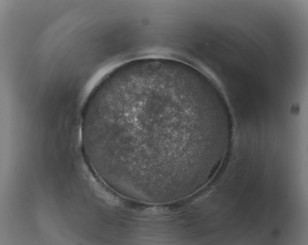 X0000112431368200908281852