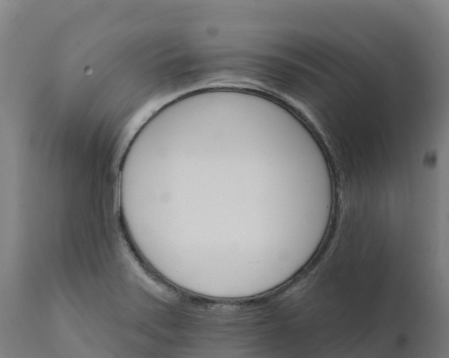 X0000112431371200908281852