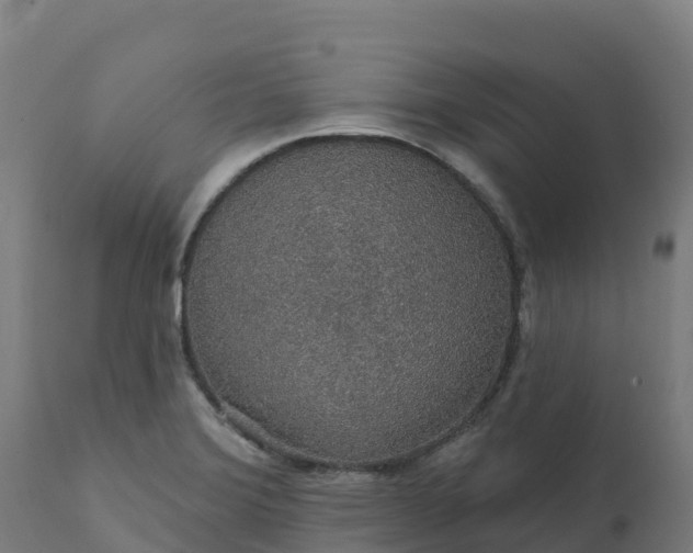 X0000112431372200908281852