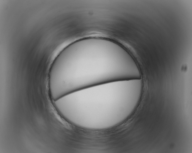X0000112431375200908281852
