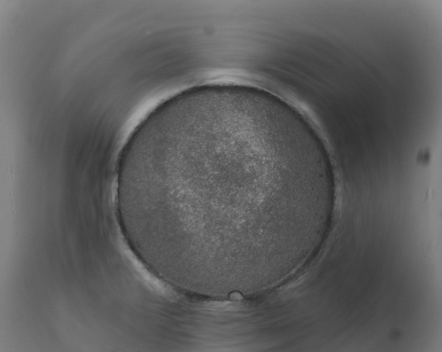 X0000112431376200908281852