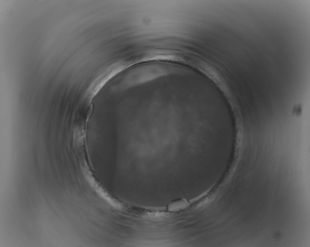 X0000112431377200908281852