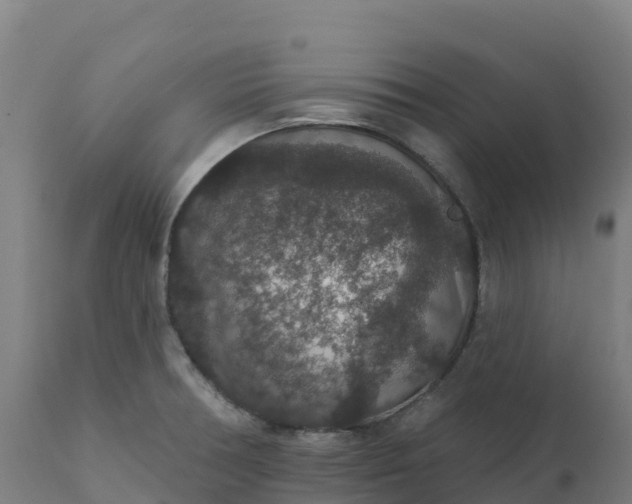 X0000112431378200908281852